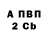 APVP СК Liza Vozdux