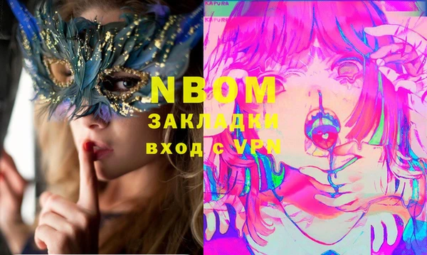 гидра Покачи